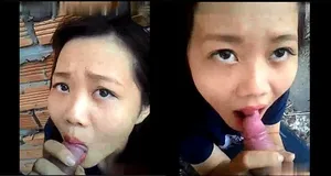 Bồ mút cây hàng ở vườn sau nhà