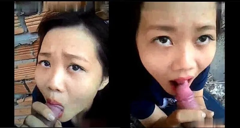Bồ mút cây hàng ở vườn sau nhà
